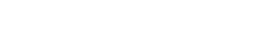 OrionBot